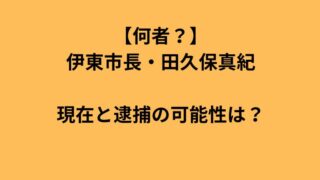 伊東市長・田久保真紀の現在と逮捕の可能性を解説