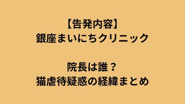 銀座まいにちクリニックで何があったのか院長情報を整理したイメージ
