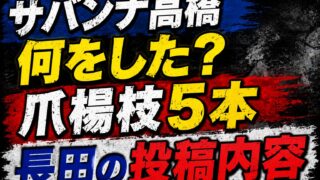 サバンナ高橋の「何をした？」「爪楊枝5本」「長田の投稿内容」と大きく表示された炎上騒動風のアイキャッチ画像