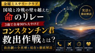 コンスタンチン君救出作戦をイメージしたアイキャッチ画像。海上保安庁機による緊急搬送と医療救助を象徴するデザイン。
